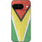 Guyana Flag Distressed Google Pixel 9 Skin